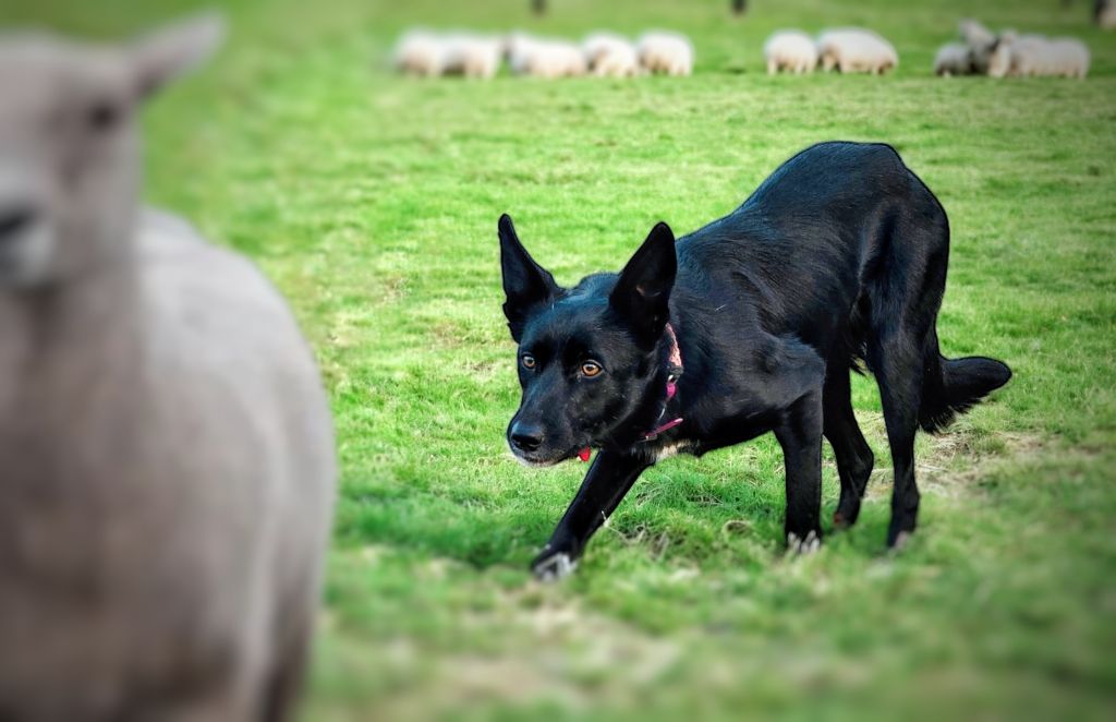 Tornade Du Domaine De Louméo